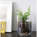 desktop terrarium