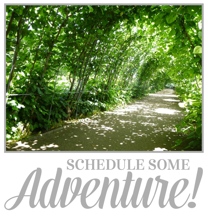 Schedule Some Adventure, Lupin Handmade for Oh My! Handmade