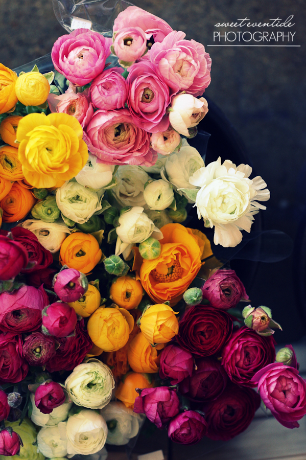 Loads of Ranunculus by Jessica Nichols of Sweet Eventide Photography