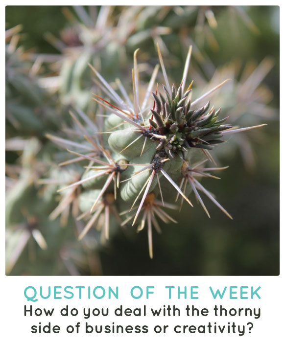 #OMHG Question of the Week: How do you deal with the thorny side of business & creativity? Oh My! Handmade
