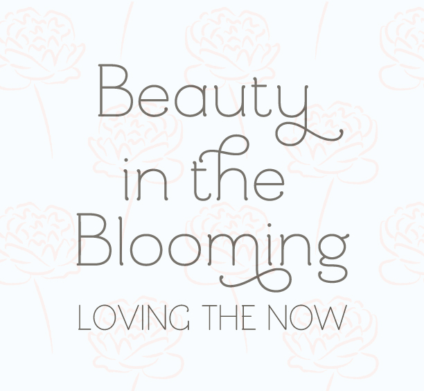 Beauty in the Blooming blog tour by Print Therapy