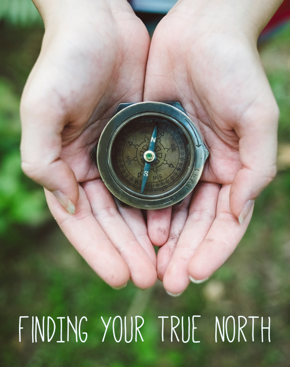 Finding Your True North: How to Claim Your Expertise, Lisa Jacobs for OMHG
